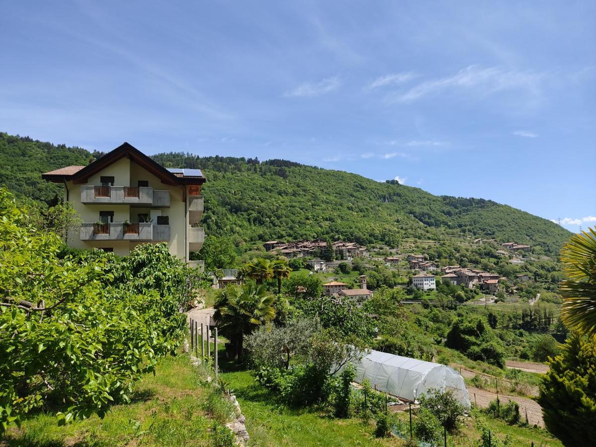 Villa Dream Alla Beppa 蒂诺 外观 照片