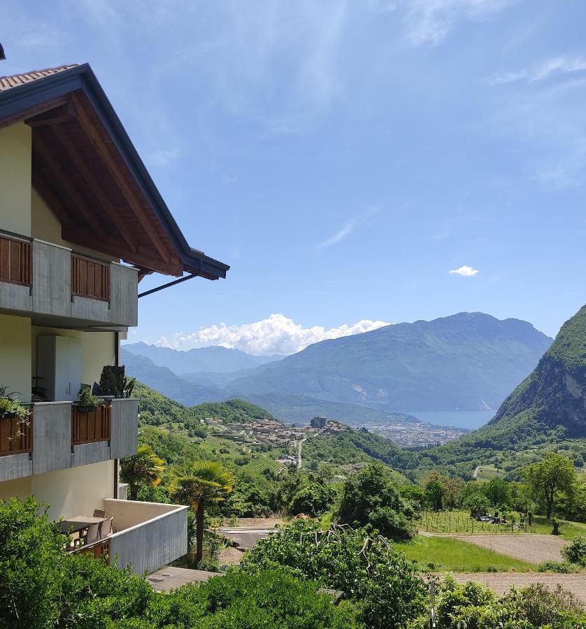 Villa Dream Alla Beppa 蒂诺 外观 照片