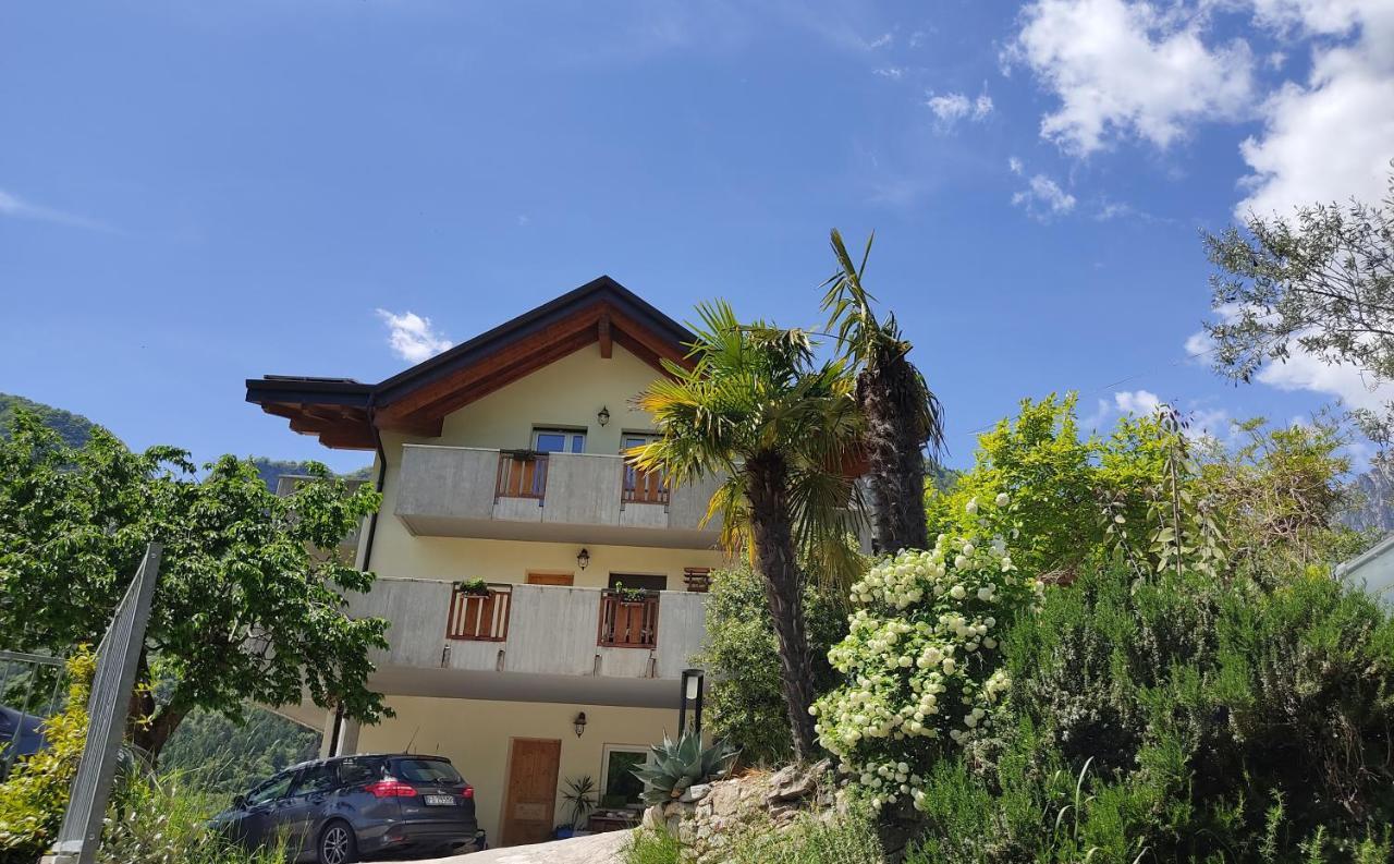 Villa Dream Alla Beppa 蒂诺 外观 照片